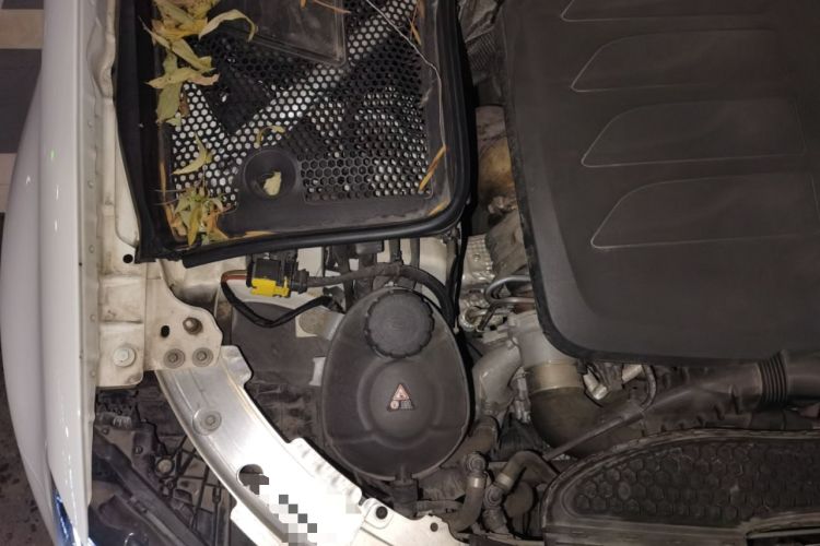 Used Mercedes-Benz C-Class 2021 C 200 L Fashion Edition Sport Version Engine Bay Right