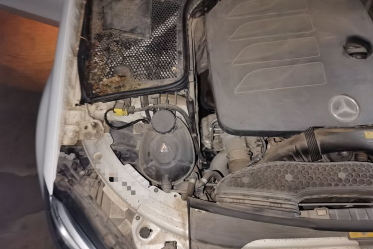 Used Mercedes-Benz C-Class 2021 C 200 L Fashion Edition Sport Version Engine Bay Right