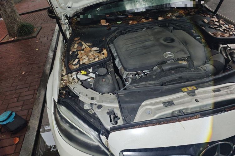 Used Mercedes-Benz C-Class 2021 C 260 L Sport Edition Star Collection Engine Bay Right