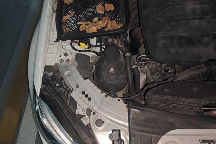 Used Mercedes-Benz C-Class 2021 C 260 L Sport Edition Star Collection Engine Bay Right