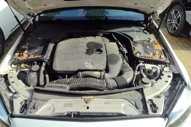 Used Mercedes-Benz C-Class 2021 C 260 L Sport Edition Engine Bay