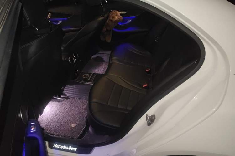Used Mercedes-Benz C-Class 2021 C 260 L Sport Edition Left Rear Seat