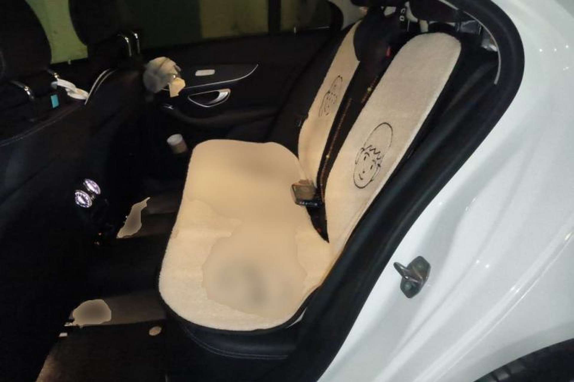 Used Mercedes-Benz C-Class 2021 C 260 L Sport Edition Star Collection Left Rear Seat