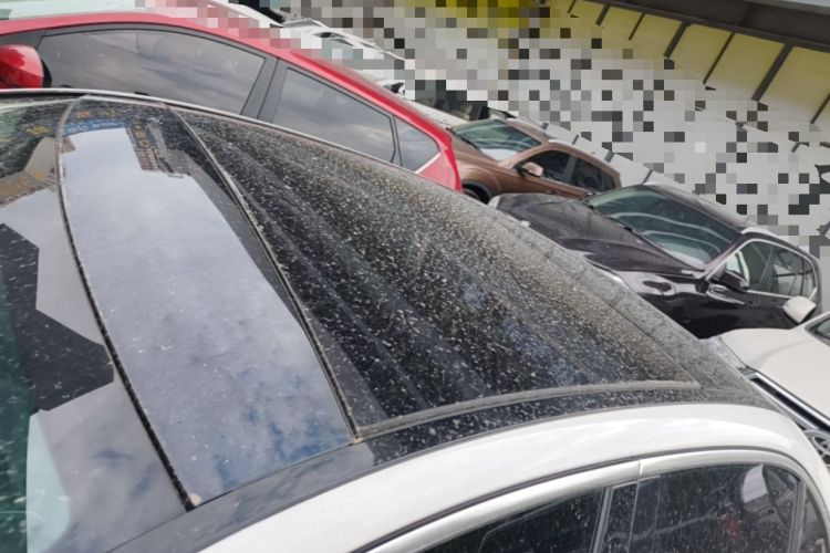 Used Mercedes-Benz C-Class 2021 C 260 L Sport Edition Roof