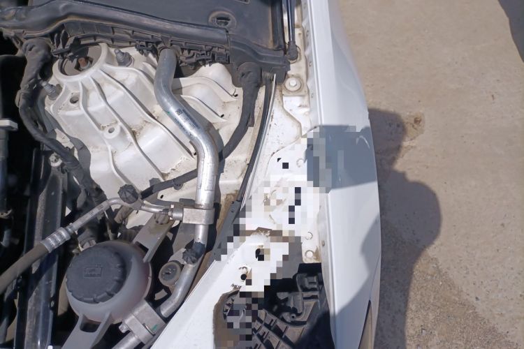 Used Mercedes-Benz C-Class 2022 C 260 L Sport Edition Engine Bay Left