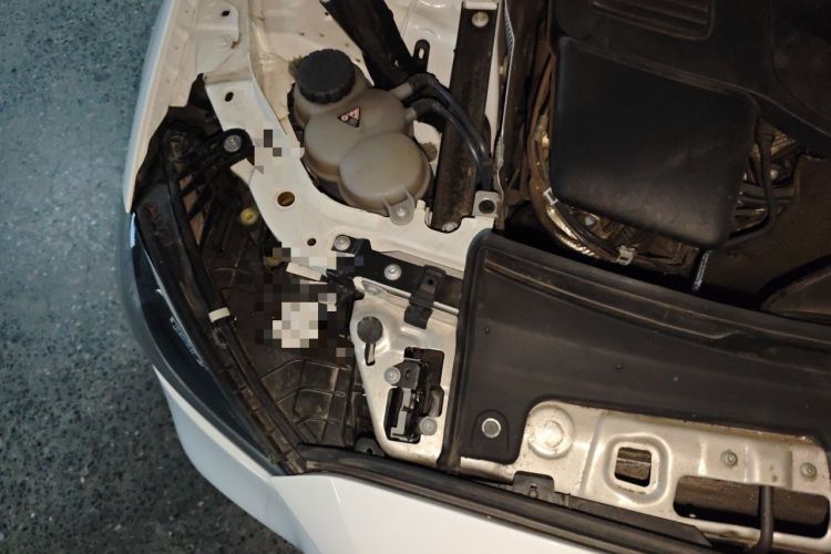 Used Mercedes-Benz C-Class 2022 Restyled C 260 L Sport Edition Engine Bay Right