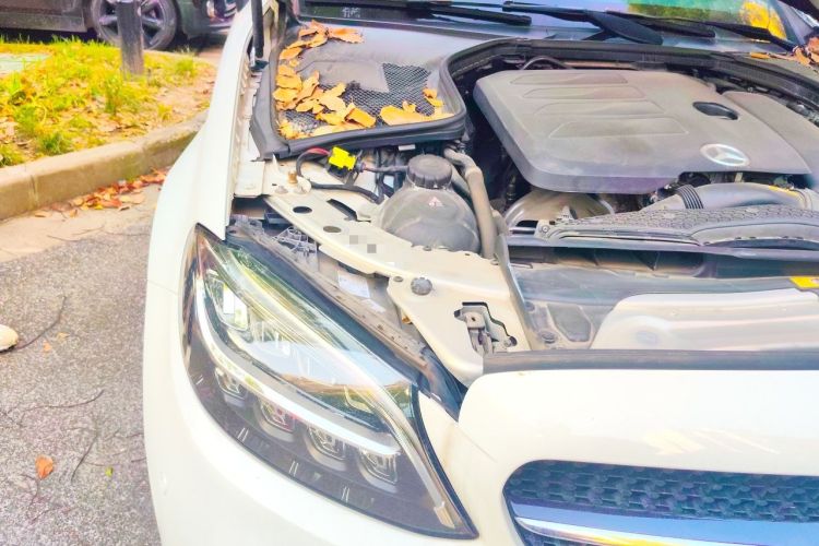 Used Mercedes-Benz C-Class 2022 C 260 Coupe Engine Bay Right