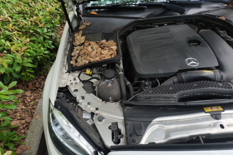 Used Mercedes-Benz C-Class 2022 Refreshed C 260 Coupe Engine Bay Right