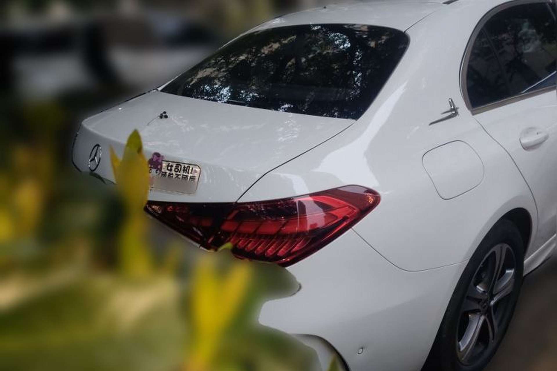 Used Mercedes-Benz C-Class 2022 C 200 L Sport Edition Rear