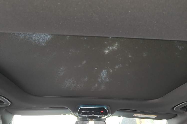 Used Mercedes-Benz C-Class 2023 C 260 L Bright Night Sports Edition Headliner