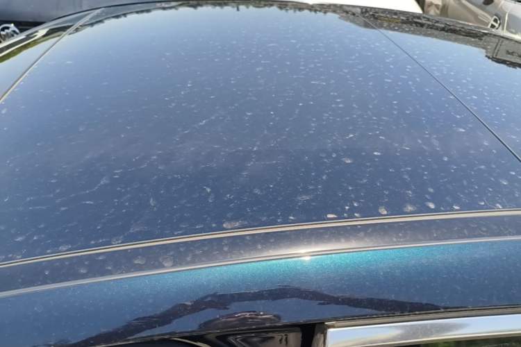 Used Mercedes-Benz C-Class 2023 C 260 L Sport Edition Roof