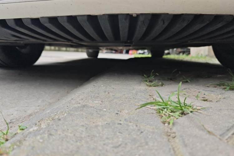 Used Mercedes-Benz C-Class 2023 C 260 L Sport Edition Chassis Front