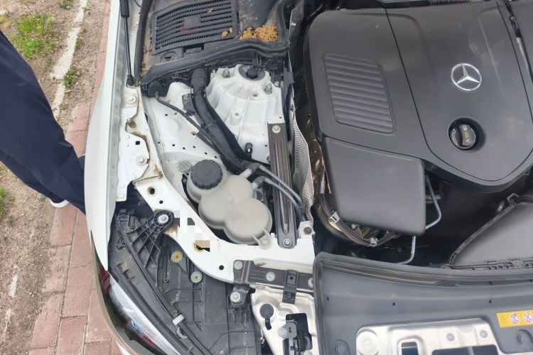 Used Mercedes-Benz C-Class 2023 C 260 L Sport Edition Engine Bay Right