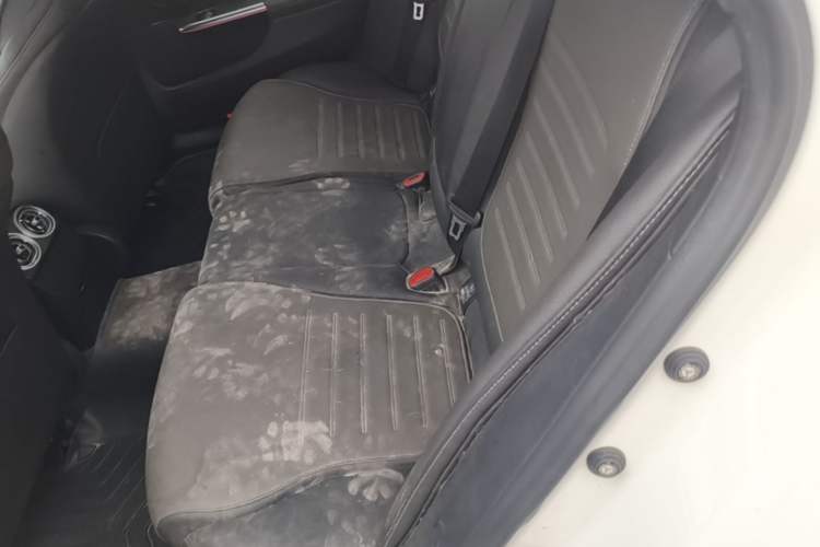 Used Mercedes-Benz C-Class 2023 C 260 L Sport Edition Left Rear Seat