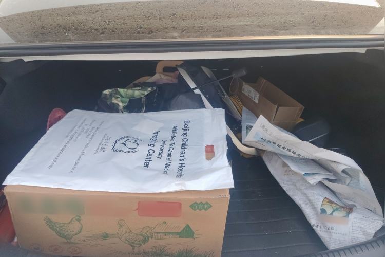 Used Mercedes-Benz C-Class 2023 C 260 L Sport Edition Trunk