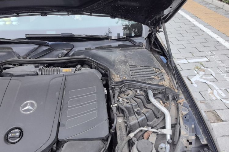 Used Mercedes-Benz C-Class 2024 C 260 L Sport Edition Engine Bay Left