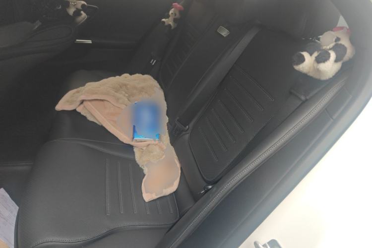 Used Mercedes-Benz C-Class 2024 Restyled C 200 L Sport Edition Left Rear Seat