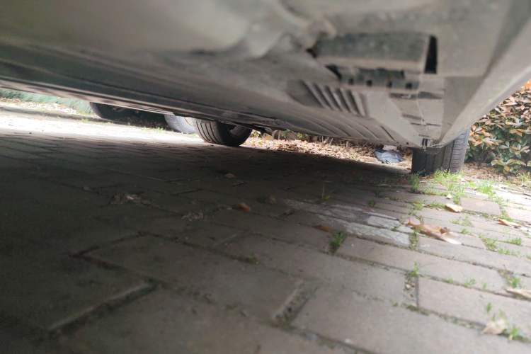 Used Mercedes-Benz C-Class 2025 C 260 L Chassis Front Left