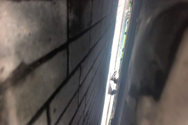 Used Mercedes-Benz C-Class 2025 C 260 L Sport Edition Chassis Front Left