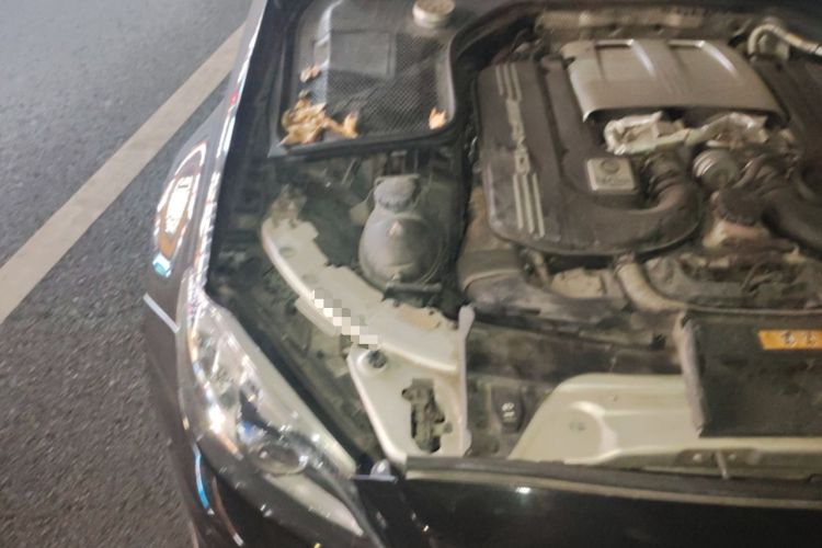 Used Mercedes-Benz C-Class AMG 2019 AMG C 63 Coupe Engine Bay Right
