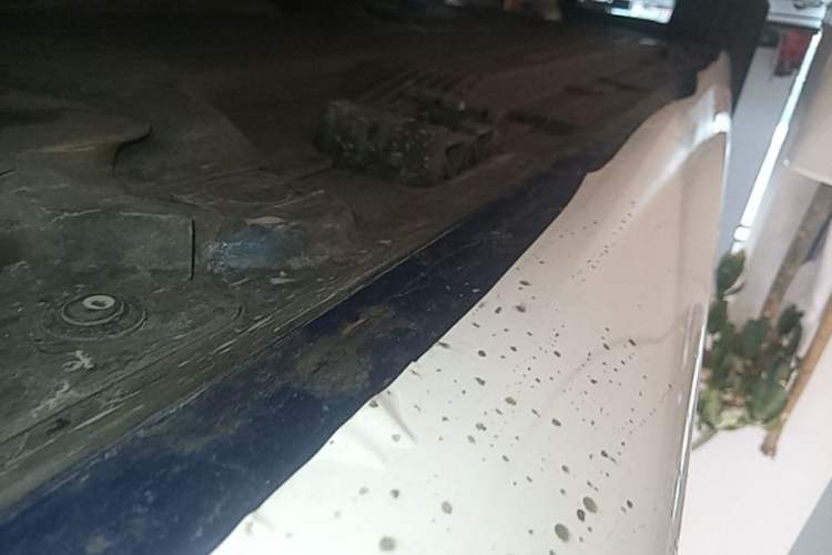 Used Mercedes-Benz CLE 2024 CLE 260 Coupe Right Side Sill