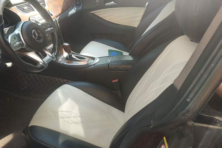 Used Mercedes-Benz CLS 2009 CLS 300 Left Front Seat