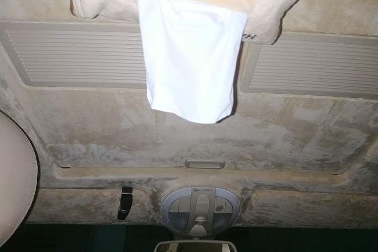 Used Mercedes-Benz CLS 2009 CLS 300 Headliner