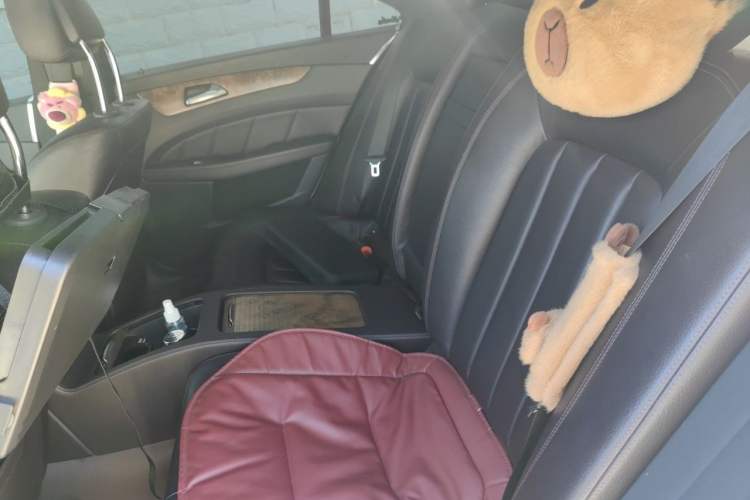 Used Mercedes-Benz CLS 2012 CLS 300 CGI Left Rear Seat