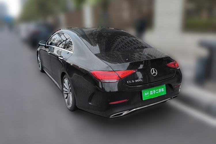 Used Mercedes-Benz CLS 2018 CLS 300 Luxury Model Rear Left 45 Deg