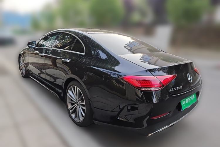 Used Mercedes-Benz CLS 2018 CLS 300 Luxury Model Rear Left 45 Deg
