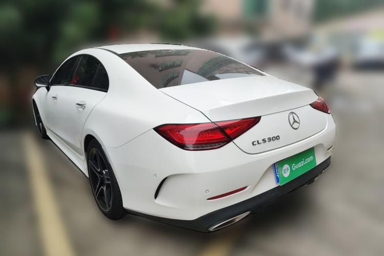 Used Mercedes-Benz CLS 2018 CLS 300 Luxury Model Rear Left 45 Deg