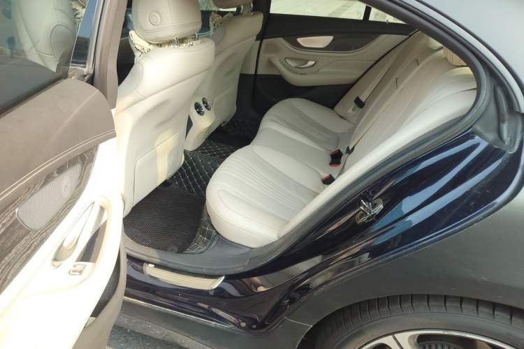 Used Mercedes-Benz CLS 2020 CLS 300 Luxury Model Left Rear Seat