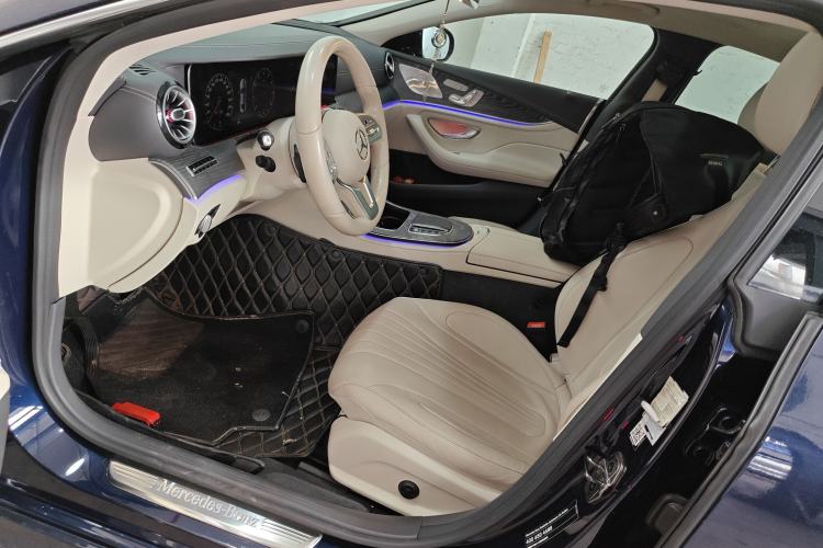 Used Mercedes-Benz CLS 2020 CLS 300 Luxury Model Left Front Seat