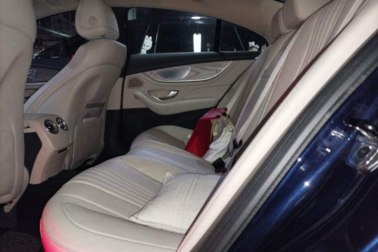 Used Mercedes-Benz CLS 2020 CLS 300 Luxury Model Left Rear Seat