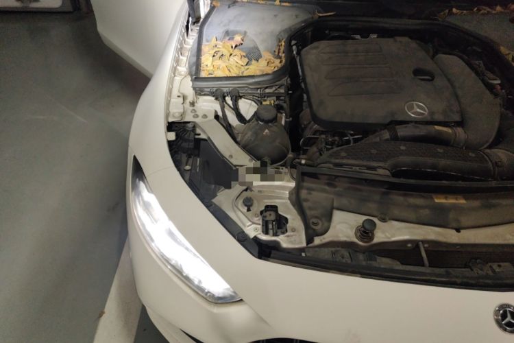 Used Mercedes-Benz CLS 2020 CLS 300 Sport Edition Engine Bay Right