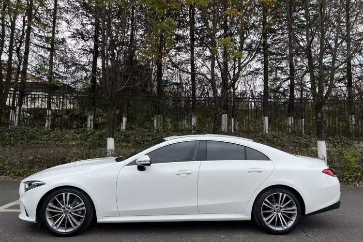 Used Mercedes-Benz CLS 2020 CLS 260 Exterior 6
