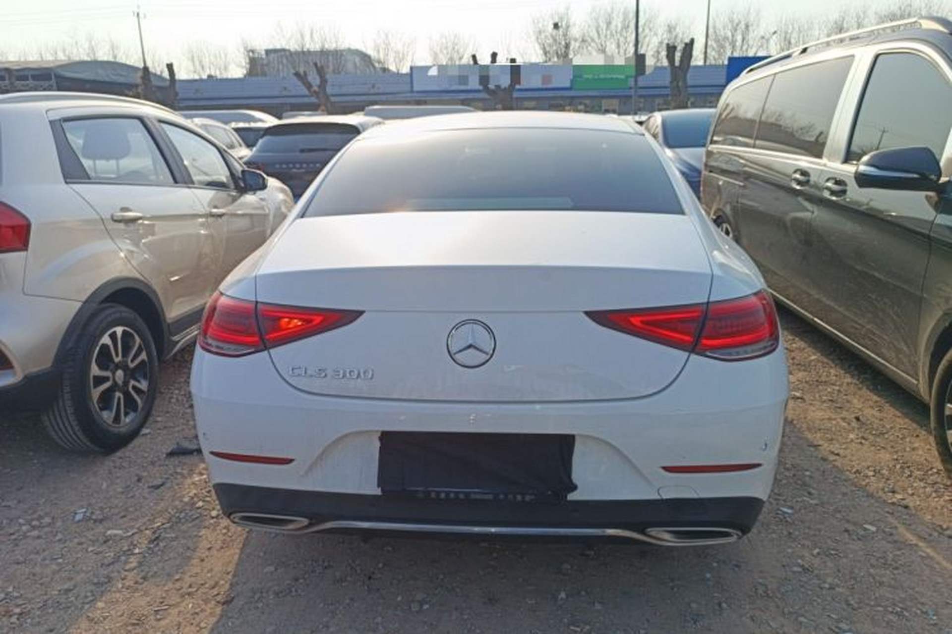 Used Mercedes-Benz CLS 2020 CLS 300 Sport Edition Rear