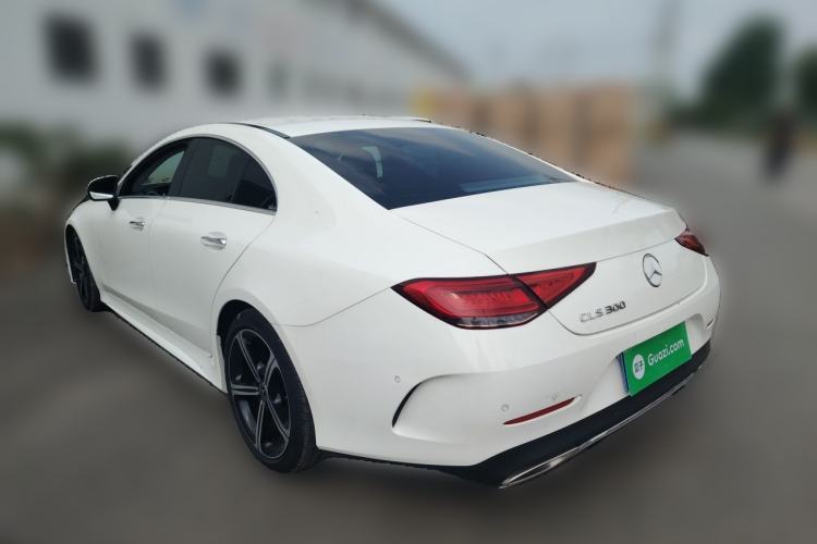 Used Mercedes-Benz CLS 2020 CLS 300 Luxury Model Rear Left 45 Deg