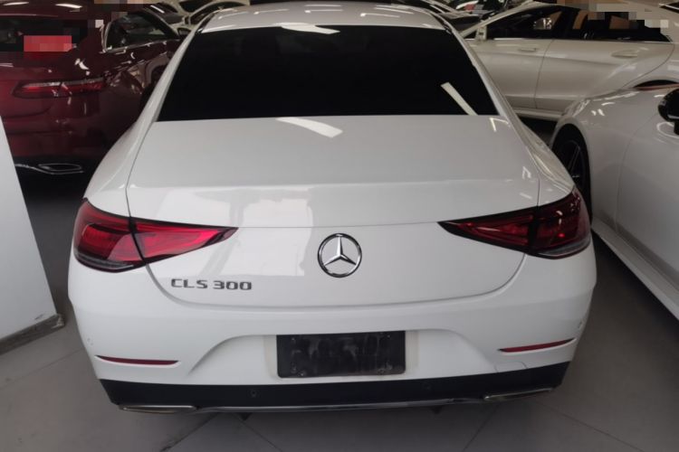 Used Mercedes-Benz CLS 2020 CLS 300 Luxury Model Rear