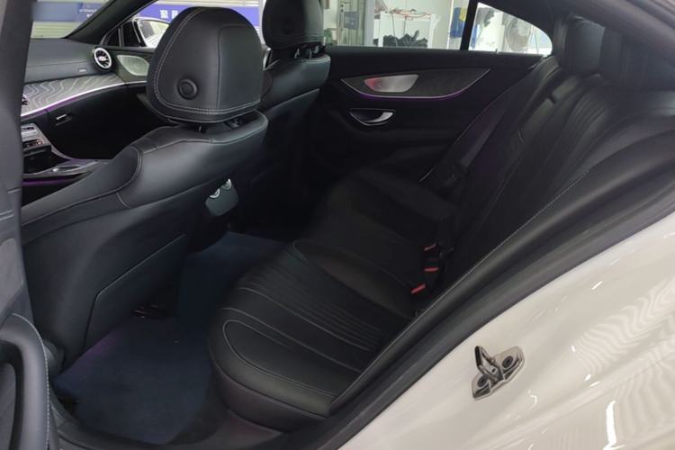 Used Mercedes-Benz CLS 2021 CLS 300 Luxury Model Left Rear Seat