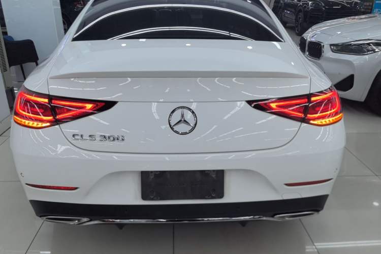 Used Mercedes-Benz CLS 2021 CLS 300 Luxury Model Rear