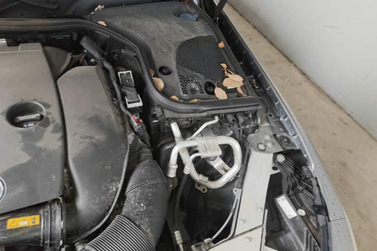 Used Mercedes-Benz CLS 2022 CLS 300 Sport Edition Engine Bay Left