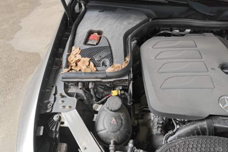 Used Mercedes-Benz CLS 2022 CLS 300 Sport Edition Engine Bay Right