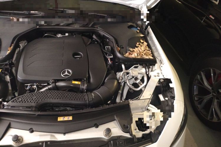 Used Mercedes-Benz CLS 2022 CLS 300 Sport Edition Engine Bay Left