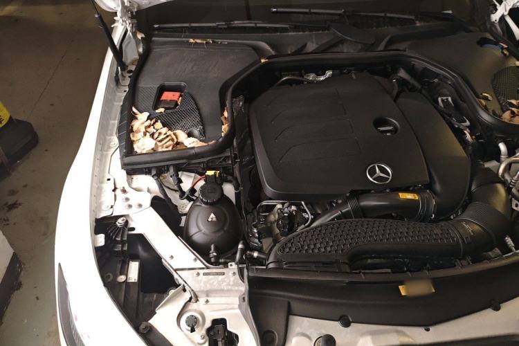 Used Mercedes-Benz CLS 2022 CLS 300 Sport Edition Engine Bay Right