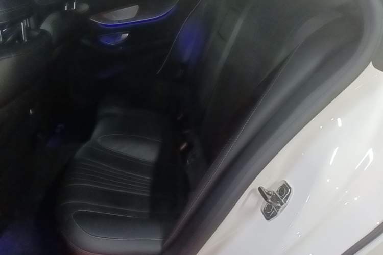 Used Mercedes-Benz CLS 2022 CLS 300 Luxury Model Left Rear Seat