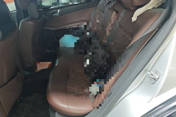 Used Mercedes-Benz E-Class 2010 E 300 L Fashion Model Left Rear Seat