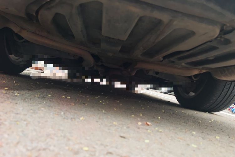Used Mercedes-Benz E-Class 2012 E 300 L Elegant Model Chassis Rear