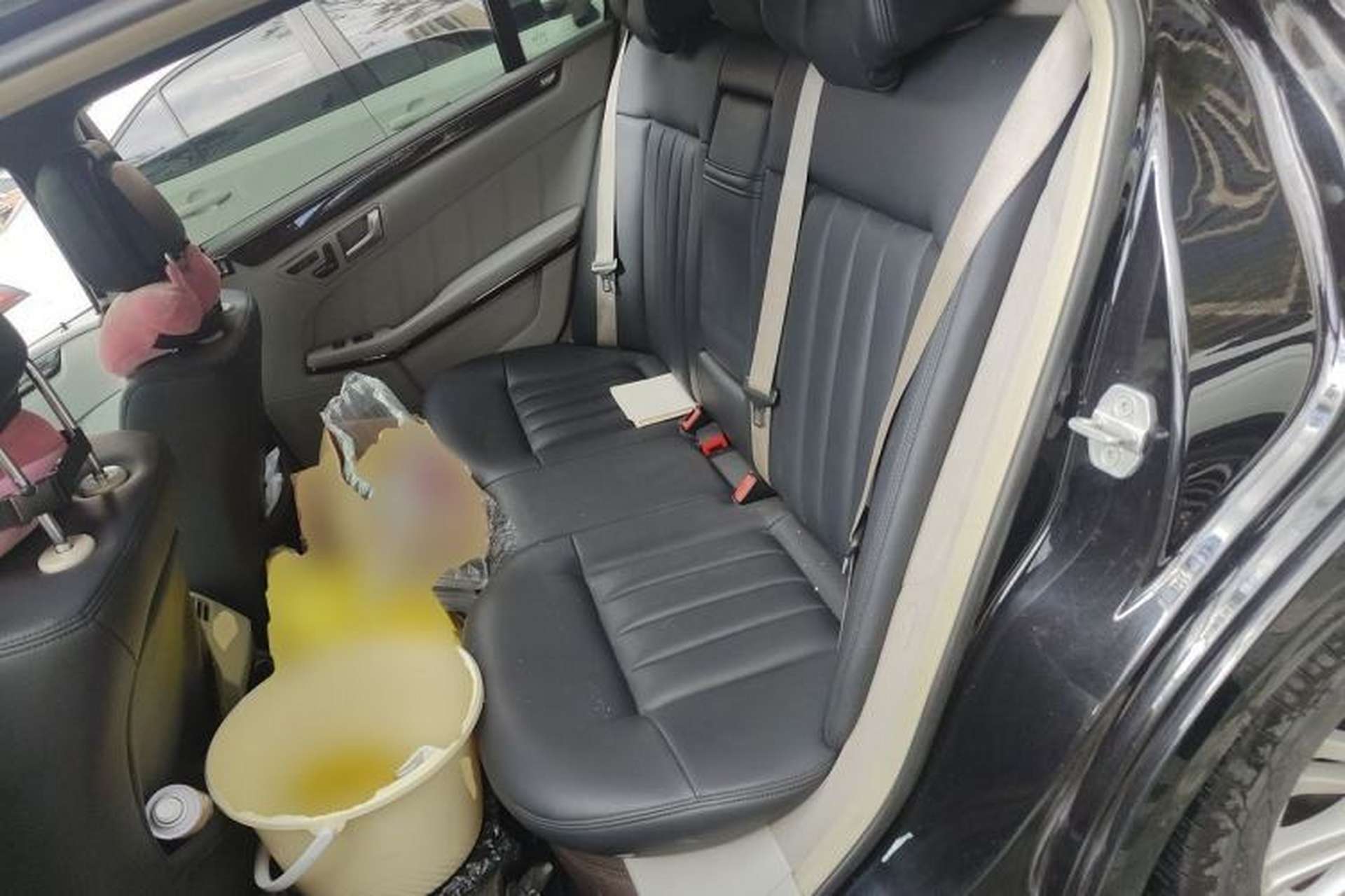 Used Mercedes-Benz E-Class 2012 E 300 L Elegant Model Left Rear Seat