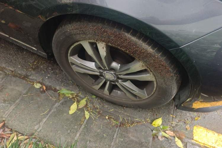 Used Mercedes-Benz E-Class 2014 E 260 L Sport Edition Right Front Wheel Hub